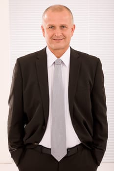 Executive successful mature businessman wear suit and tie professional portrait