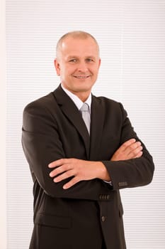 Executive successful mature businessman wear suit and tie professional portrait