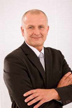 Executive successful mature businessman wear suit and tie professional portrait