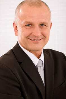 Executive successful mature businessman wear suit and tie professional portrait