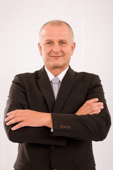 Executive successful mature businessman wear suit and tie professional portrait