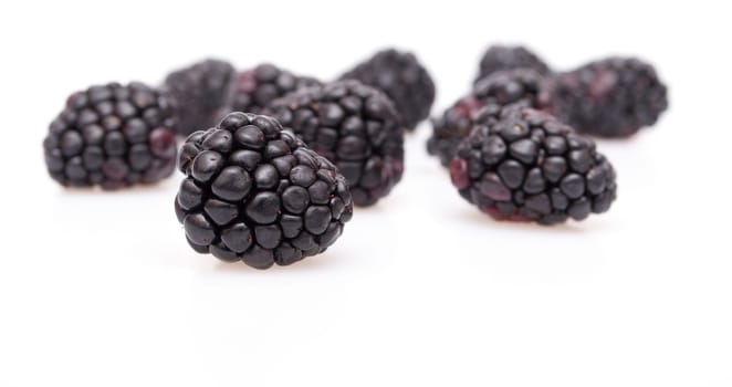 Fresh Ripe Blackberries on White Background - With Shadows