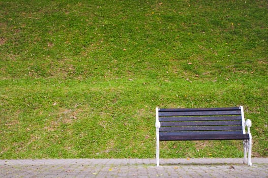 a single bench in a park, waiting for someone.