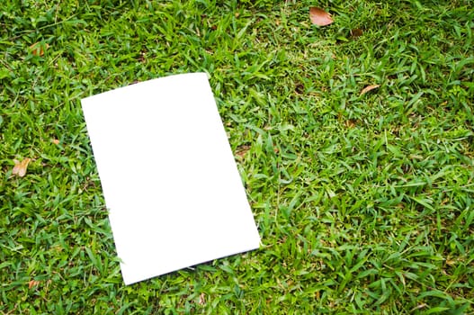 blank white flyer