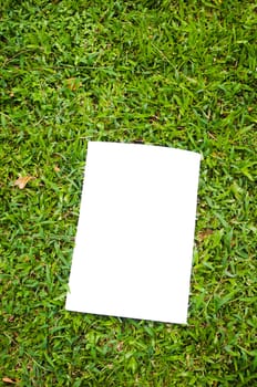 blank white flyer