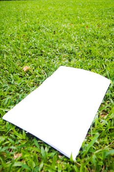 blank white flyer
