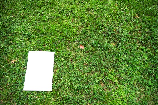 a white board is on a grass field, for message display. clipping path of the white board is in jpg.