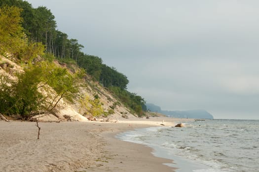 Steep coast of the Baltic Sea on Rügen