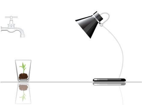 To illustrate a plant that grow under man-made condition.