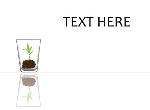 to illustrate concept of a seedling is being taking care.