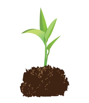 illustration of a seedling with soil, vector format.