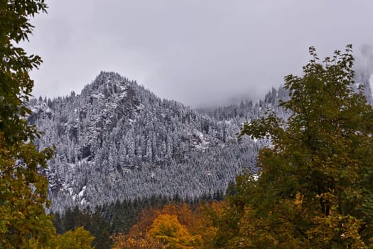 Autumnal mood with snow