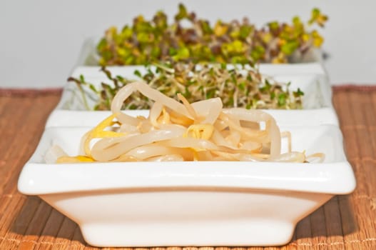 Germination