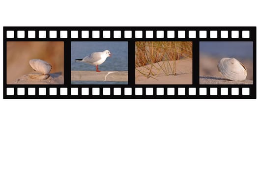 Holiday film
