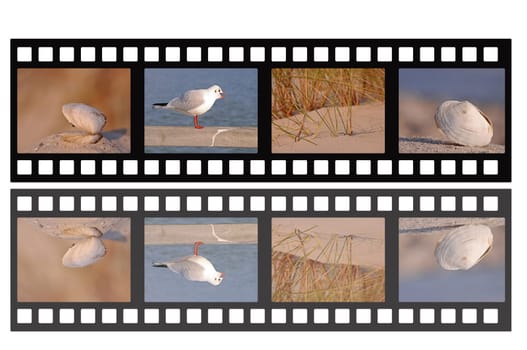Holiday film