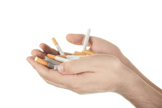 Human hand holding many cigarettes on white background