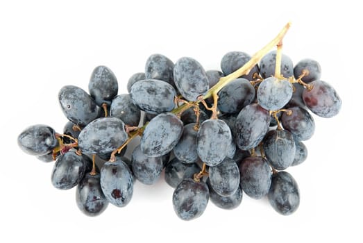 Rape Grape cluster isolated on white background