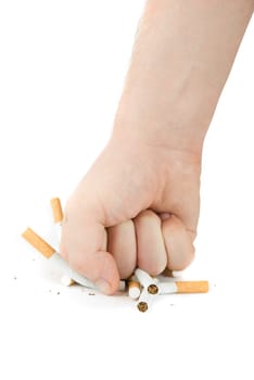 male fist with many cigarettes isolated on white