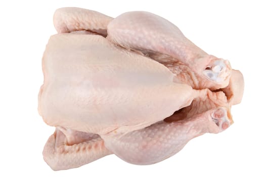 Raw chicken isolated on white background