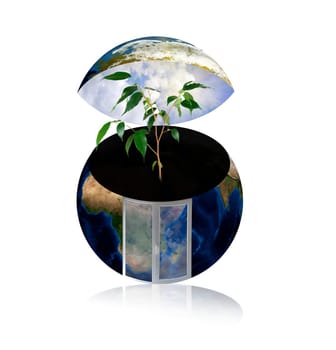tree growing from the earth with window isolated on white background
