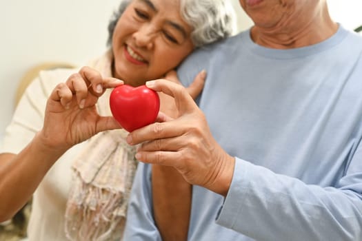 Mature couple holding a red heart shape as a symbol health care, love and insurance.