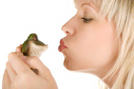 Frog prince being kissed by a beautiful blond girl isolated on white