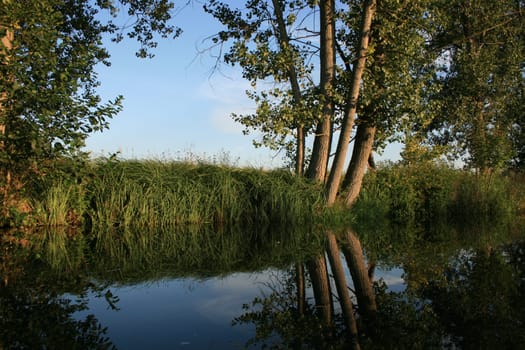 landscape