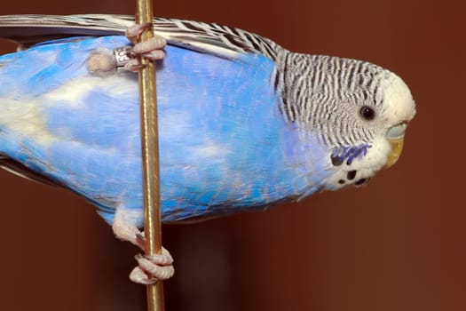 Ready to take off