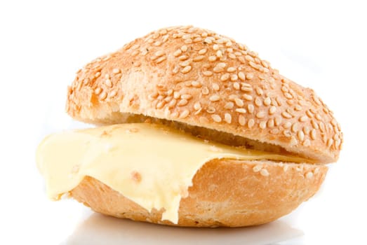 sesame Bun with cheese Isolated on White Background