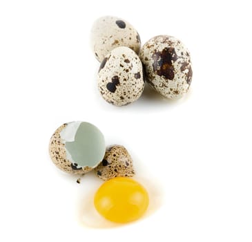 broken egg quail isolated on white background