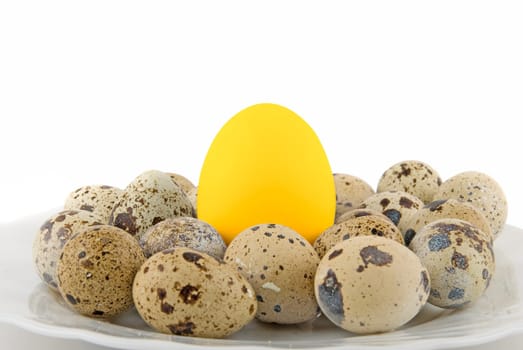 Big Gold egg in many quail eggs isolated on white