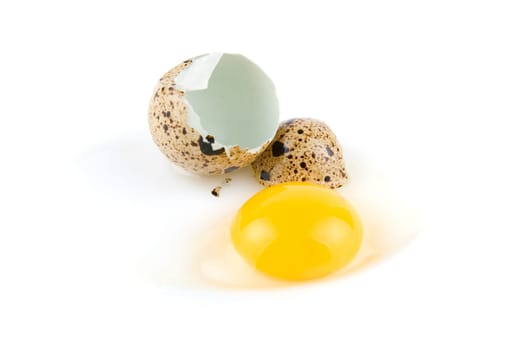 broken egg quail isolated on white background