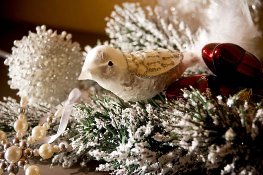 Christmas bird
