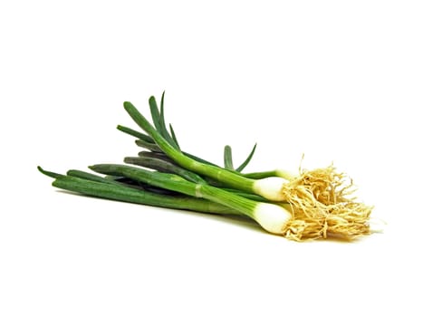Spring onion