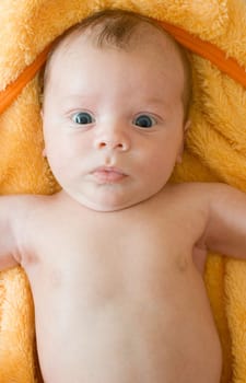Closeup Portrait of baby boy lying on the orange blanket