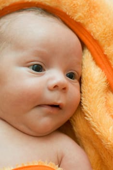 Closeup Portrait of baby boy lying at the orange blanket