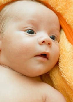Closeup Portrait of baby boy lying on the orange blanket