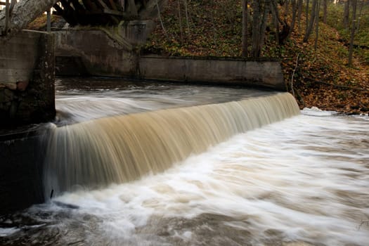 Forest river in autumn evening