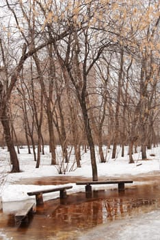 Early winter park with thawing snow. Dry yellow leaves on tree branches. Wooden benches in icy water.