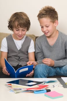 Two friends doing their homework in the livingroom