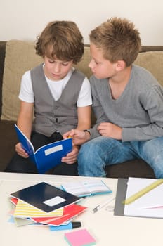 Two friends doing their homework in the livingroom