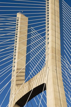 Vasco da Gama bridge is the largest in Europe over the Tagus river