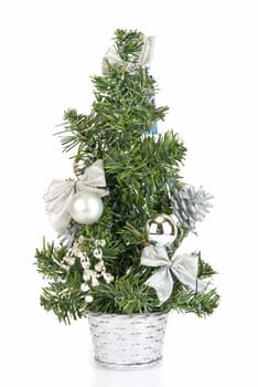Christmas firtree isolated on a white background