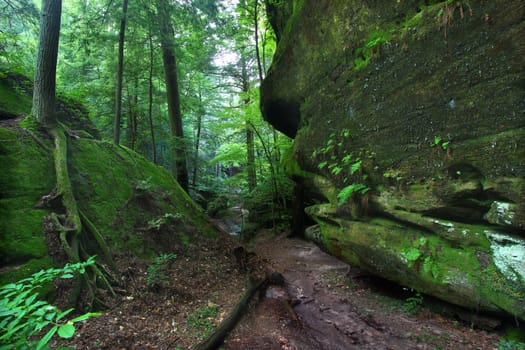 A beautiful secluded canyon northern Alabama.