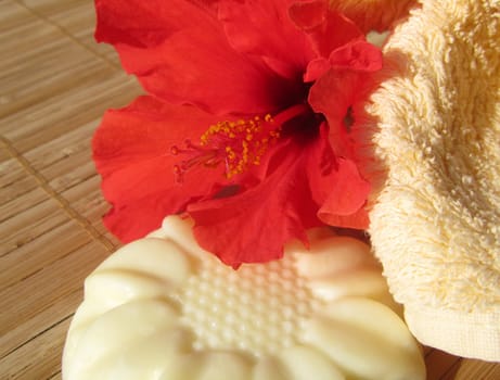 Massage bar with hibiscus