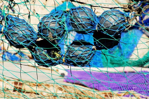 The fishing net