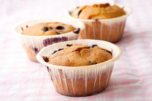 Close-up of delicious homemade blueberry muffins