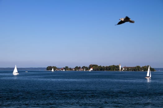 The Scenic Flight of the Seagull