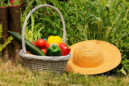 basket of vegetables and in a botanical garden