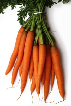 Carrots photographed from above
